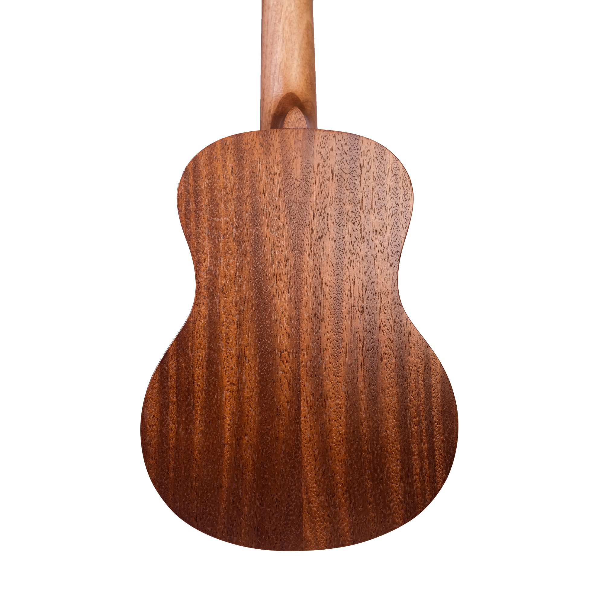 Richtone RT 26 EARTHWOOD Tenor Ukulele
