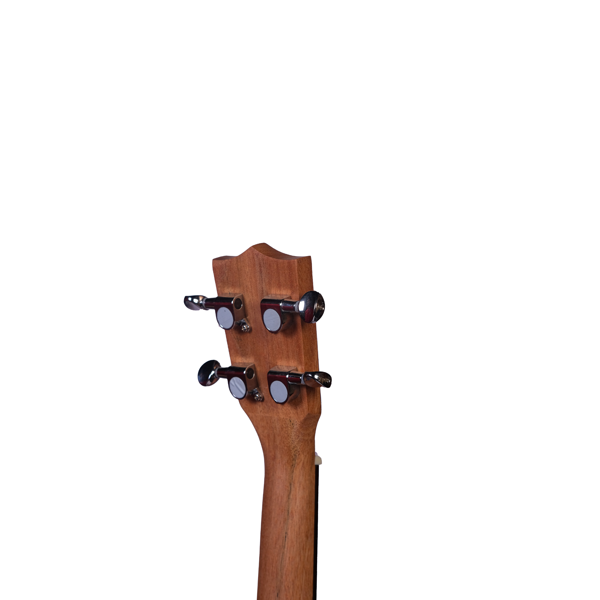 Richtone RT24 NUUD concert Ukulele