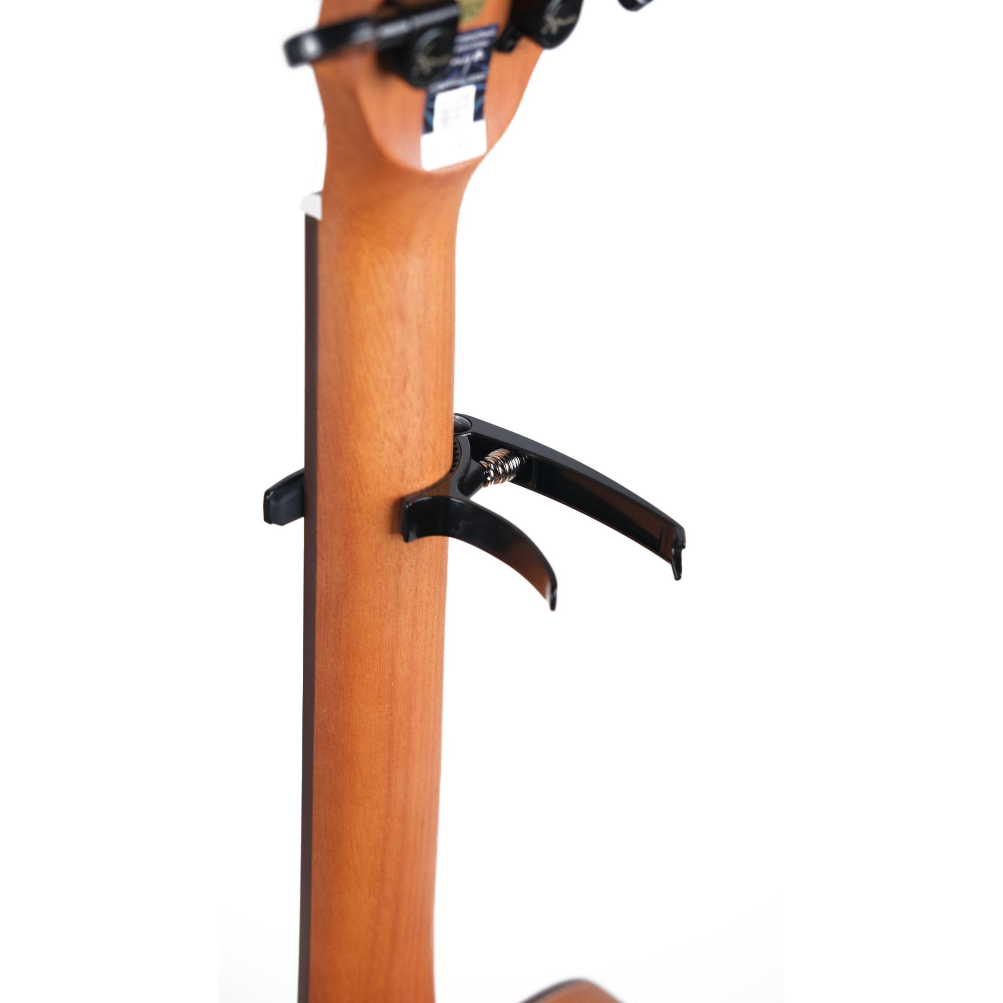 Enya Guitar Capo online in India at johnsmusicin at the lowest price Online price in India