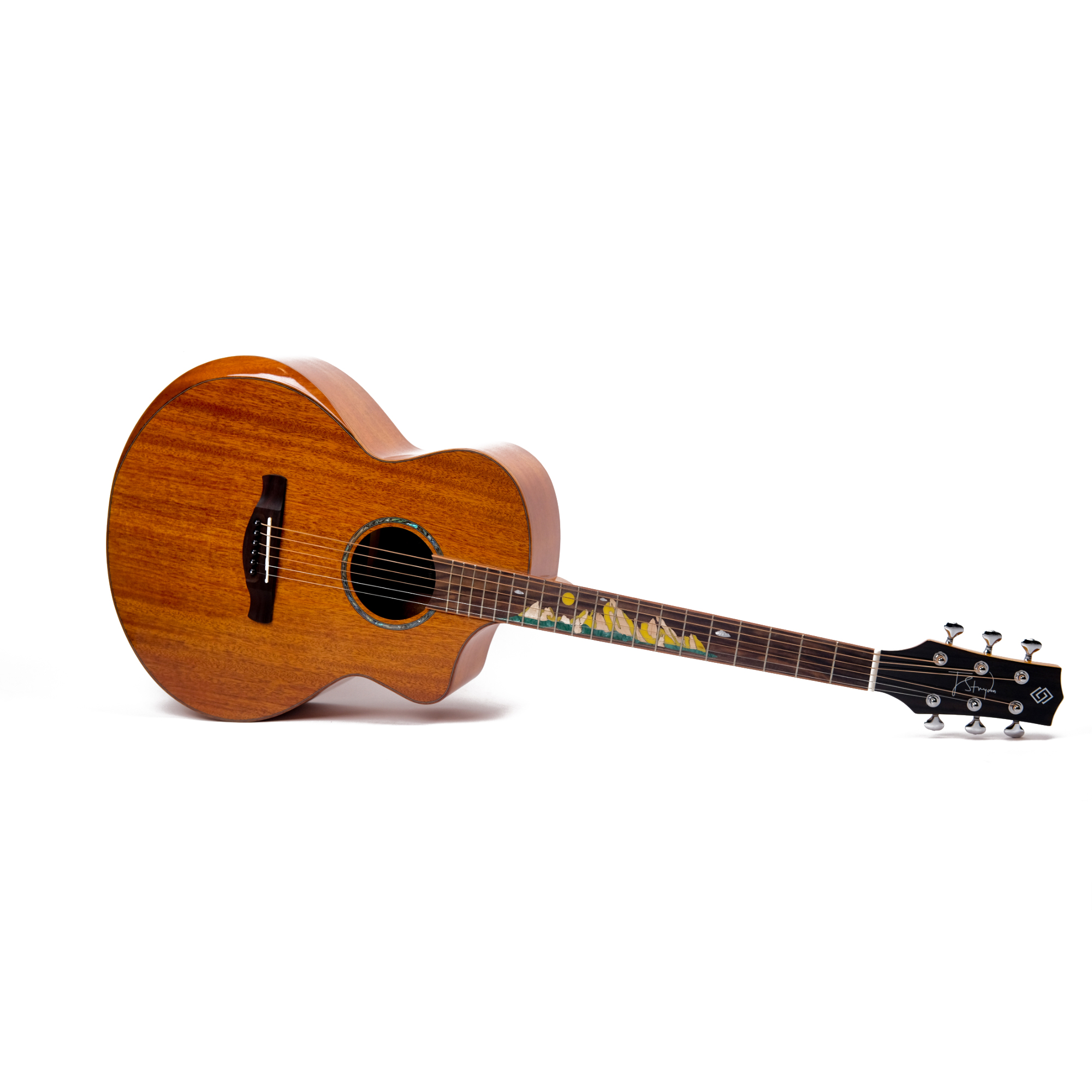 Strydom Stage S140CS NA - GA shape Online price in India