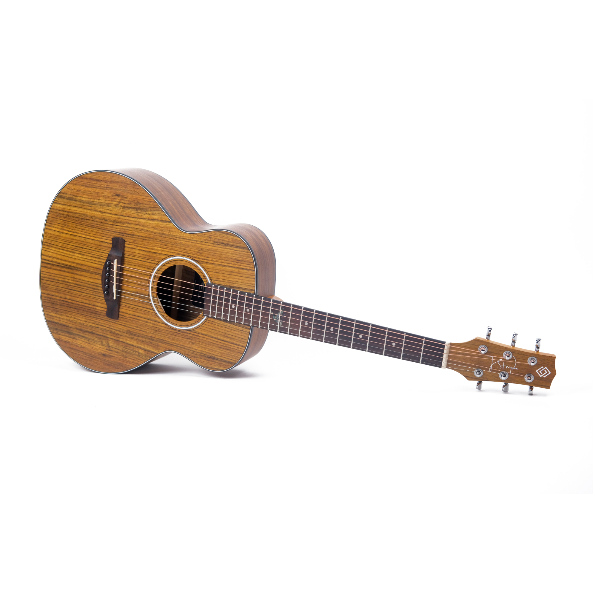 Strydom Voyager V436 NM - Travel guitar