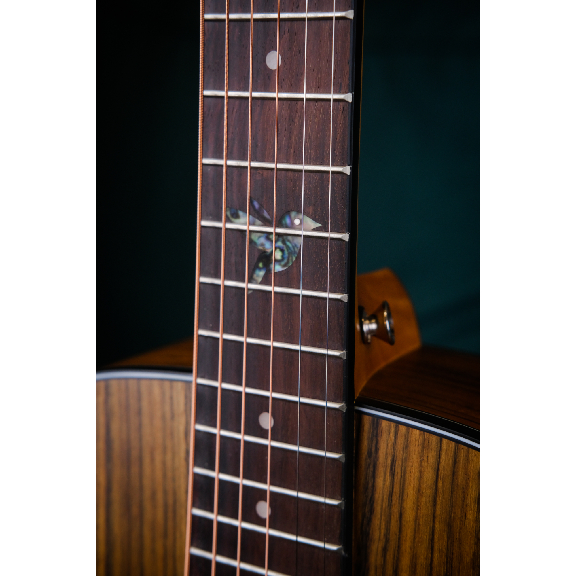 Strydom Voyager V436 NM - Travel guitar