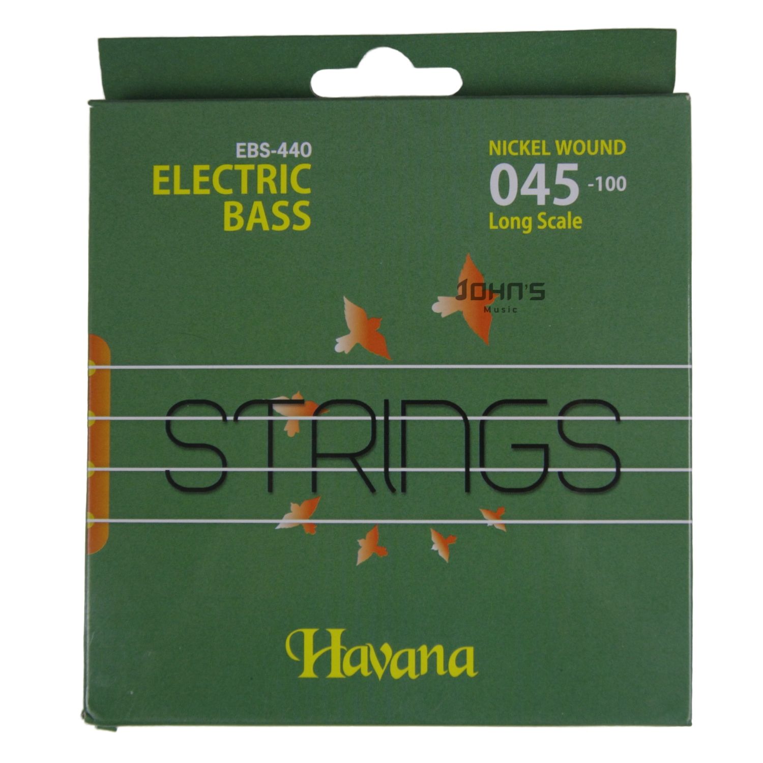 Havana bass guitar strings for beginners