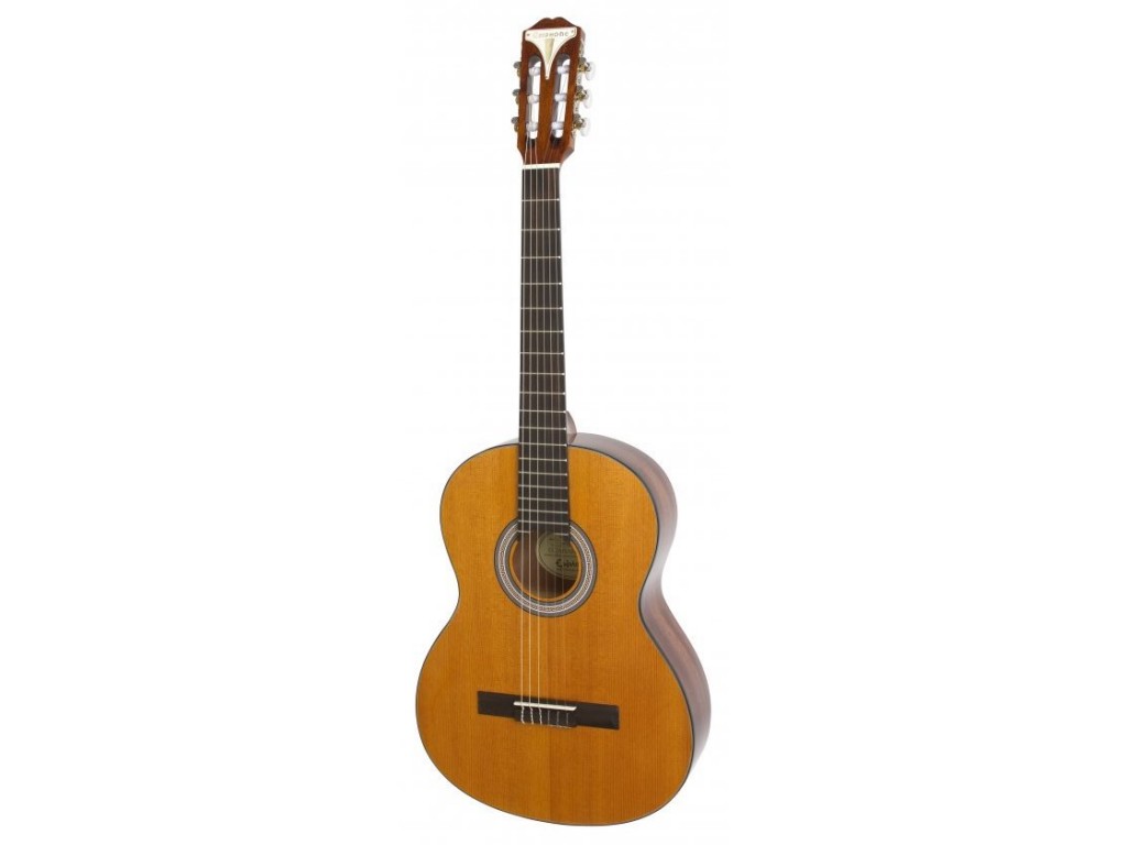 Epiphone PRO-1 Classic Acoustic Guitar