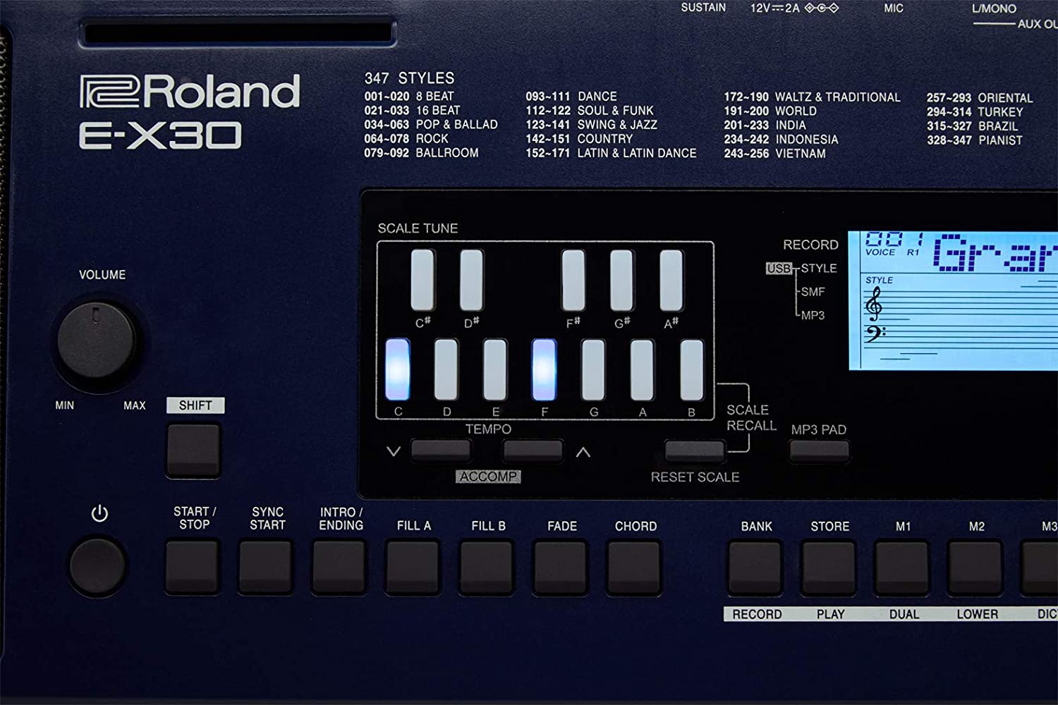 Roland E-X30 Arranger Keyboard 61 keys