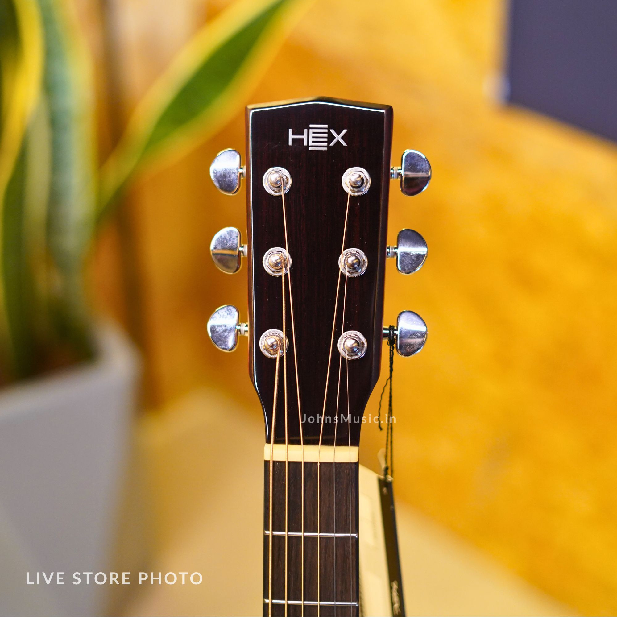 F300G solid top guitar under 20k in india