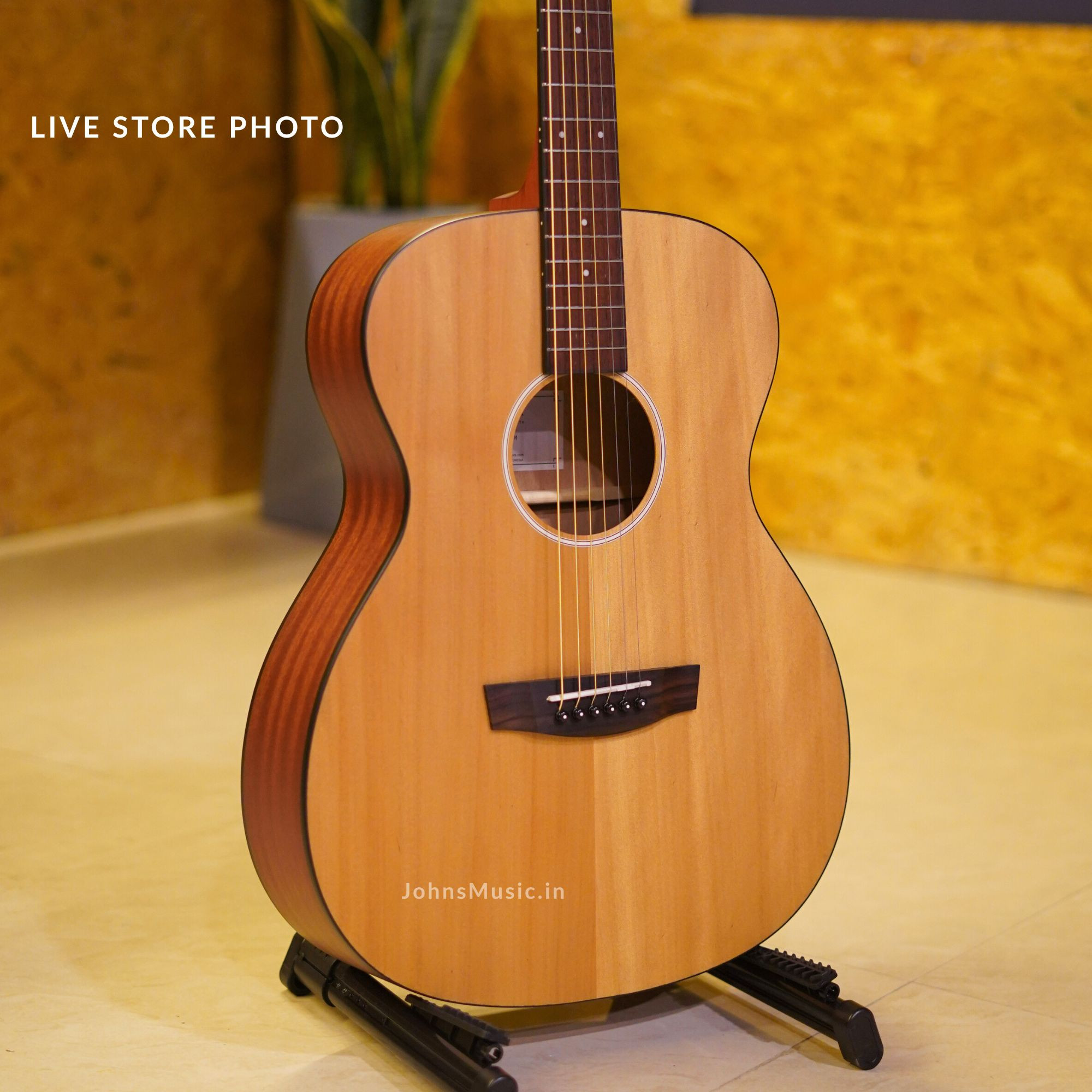 best beginner acoustic guitar online in India