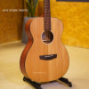 Hex F70M Acoustic Guitar
