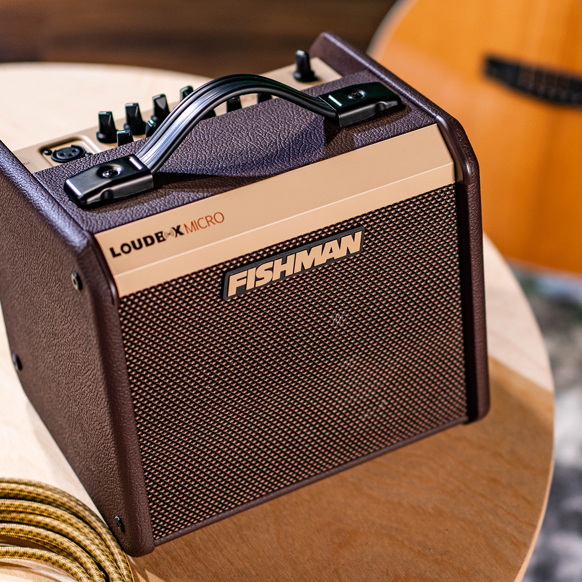 Fishman Loudbox Micro Acoustic Instrument Amplifier Online price in India