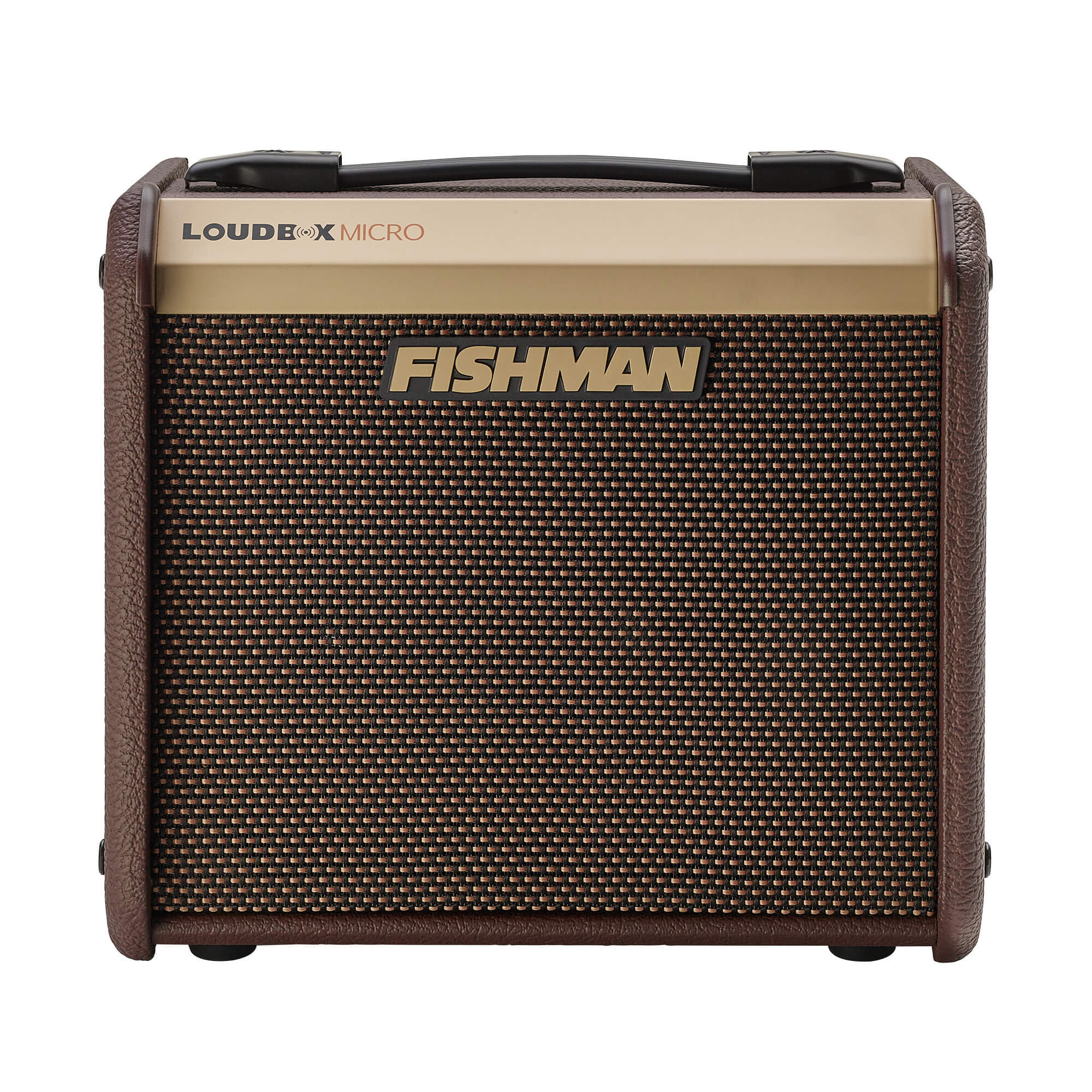Fishman Loudbox Micro Acoustic Instrument Amplifier Online price in India