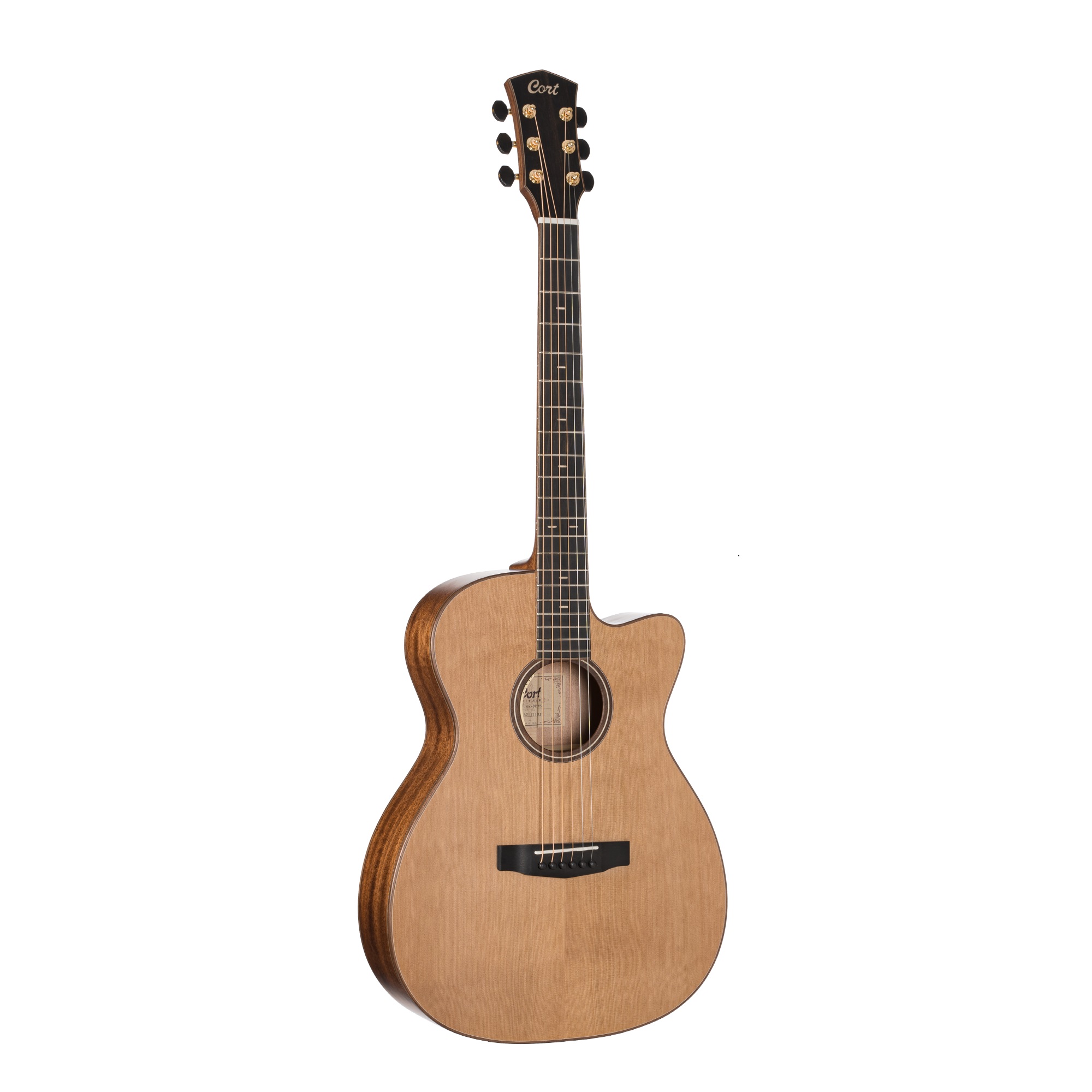 Cort Flow Series OC Electro Acoustic Guitar Online price in India