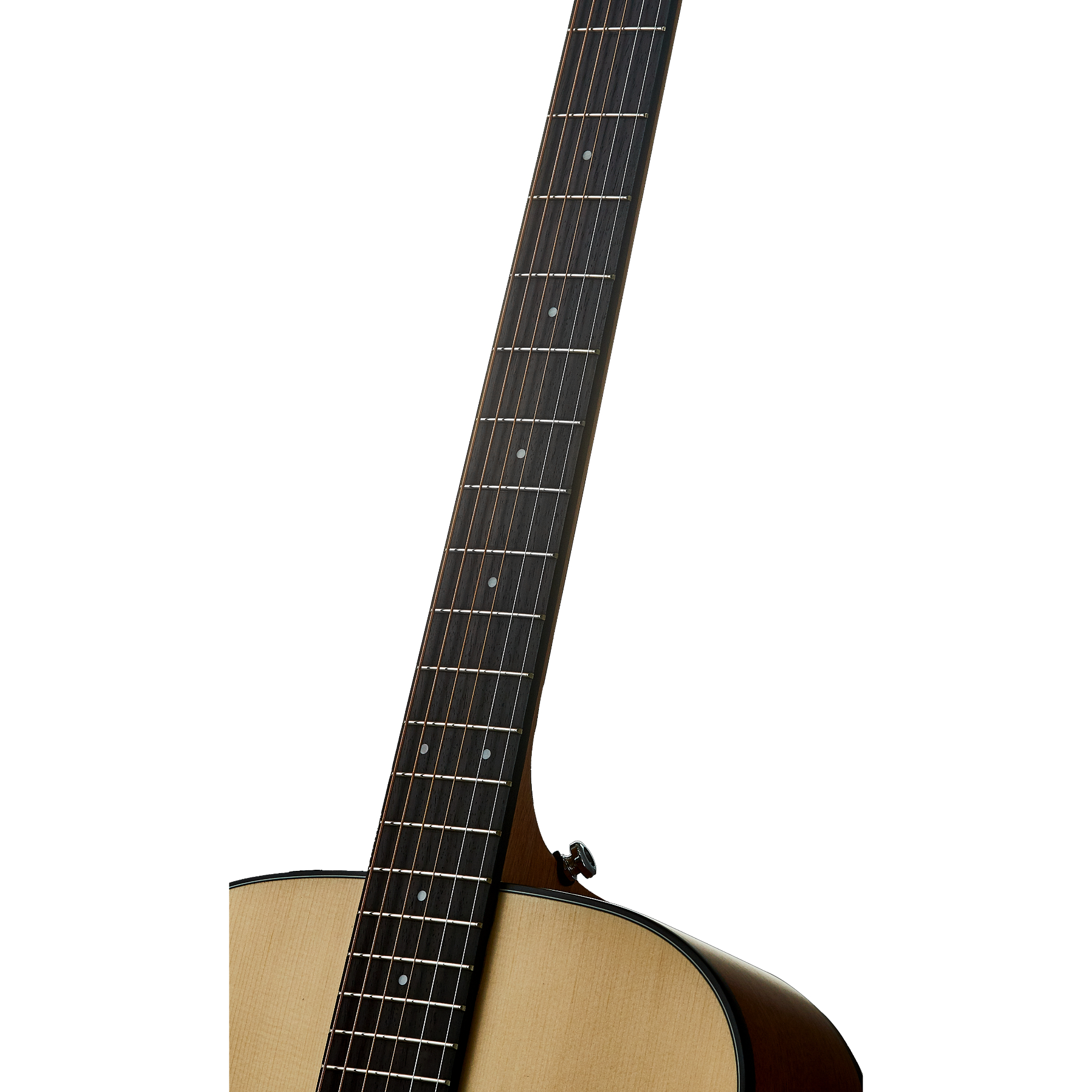 Hex GA100CEM -FISHMAN EQ HIVE series Electro Acoustic Guitar Online price in India