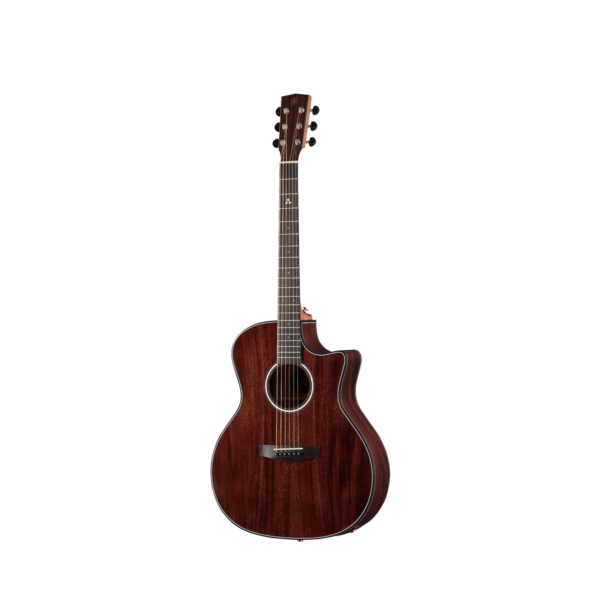 Hex GA520CEG -ALL SOLID QUEEN SERIES Online price in India