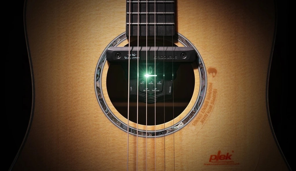 Double ACOUSTIFEX GO TRANSACOUSTIC PICKUP