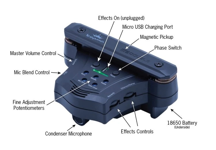 Double ACOUSTIFEX GO TRANSACOUSTIC PICKUP