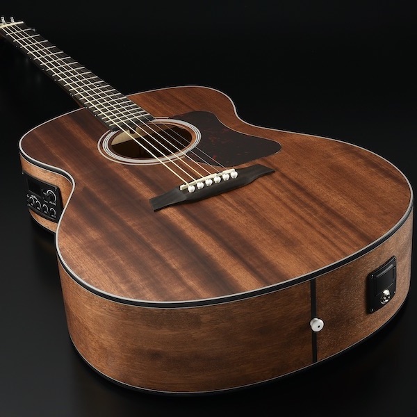 Walden G551E Natura Grand Auditorium Electro Acoustic Guitar Online price in India