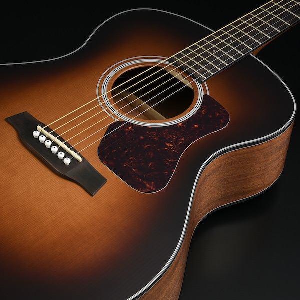 Walden G570ETB Natura Grand Auditorium Electro Acoustic Guitar Online price in India