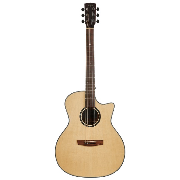 Hex GA400CEG -Hornet Series Electro-Acoustic Guitar Online price in India