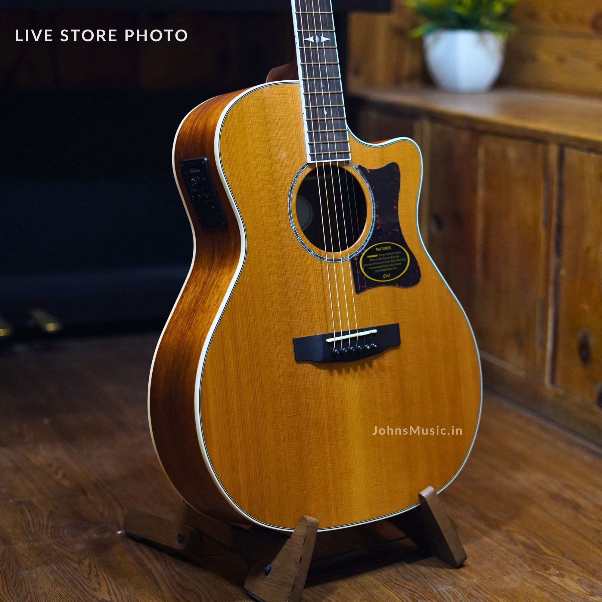 Cort GA5F acoustic guitar with Fishman pickkup indual