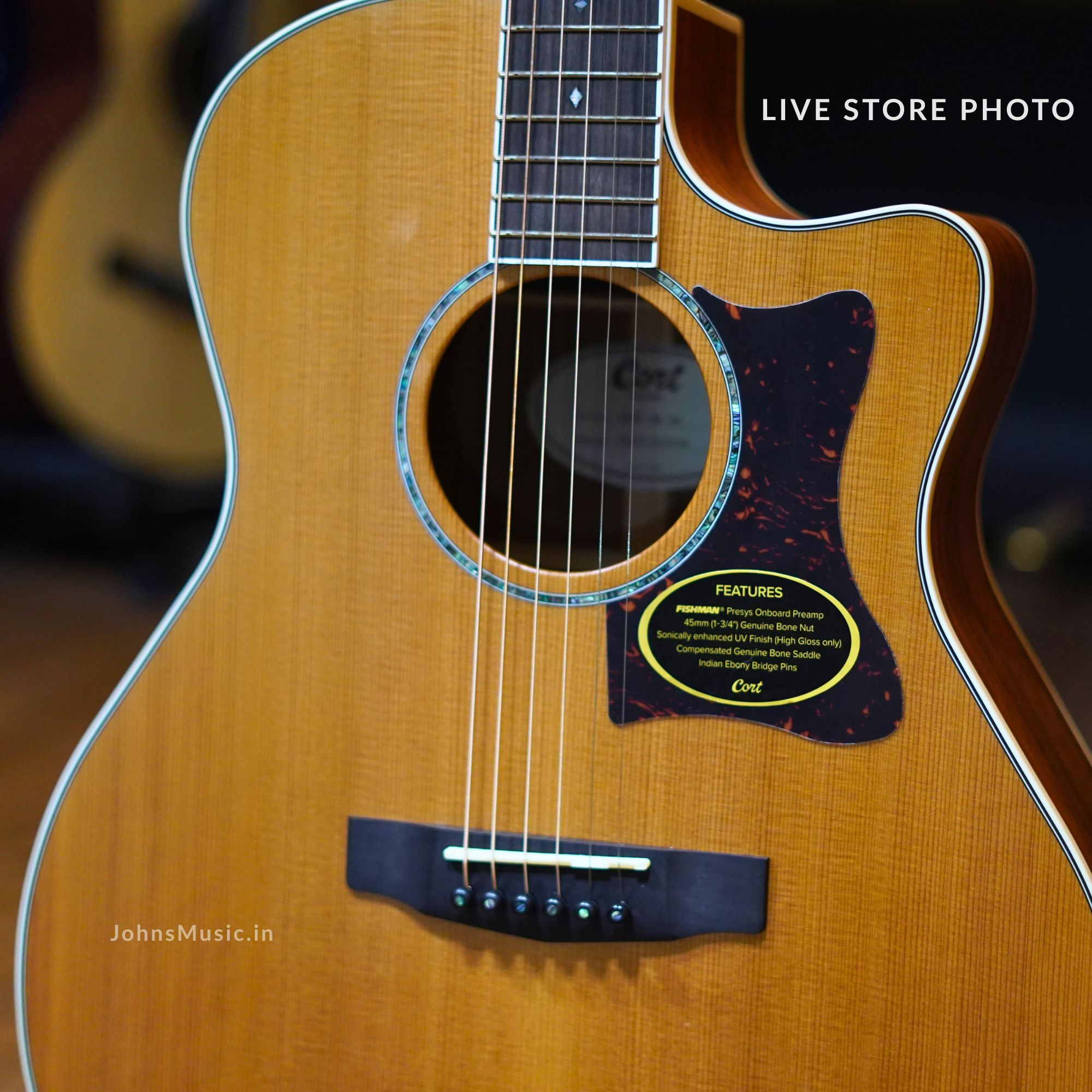 Cort GA5F acoustic guitar with Fishman pickkup indual