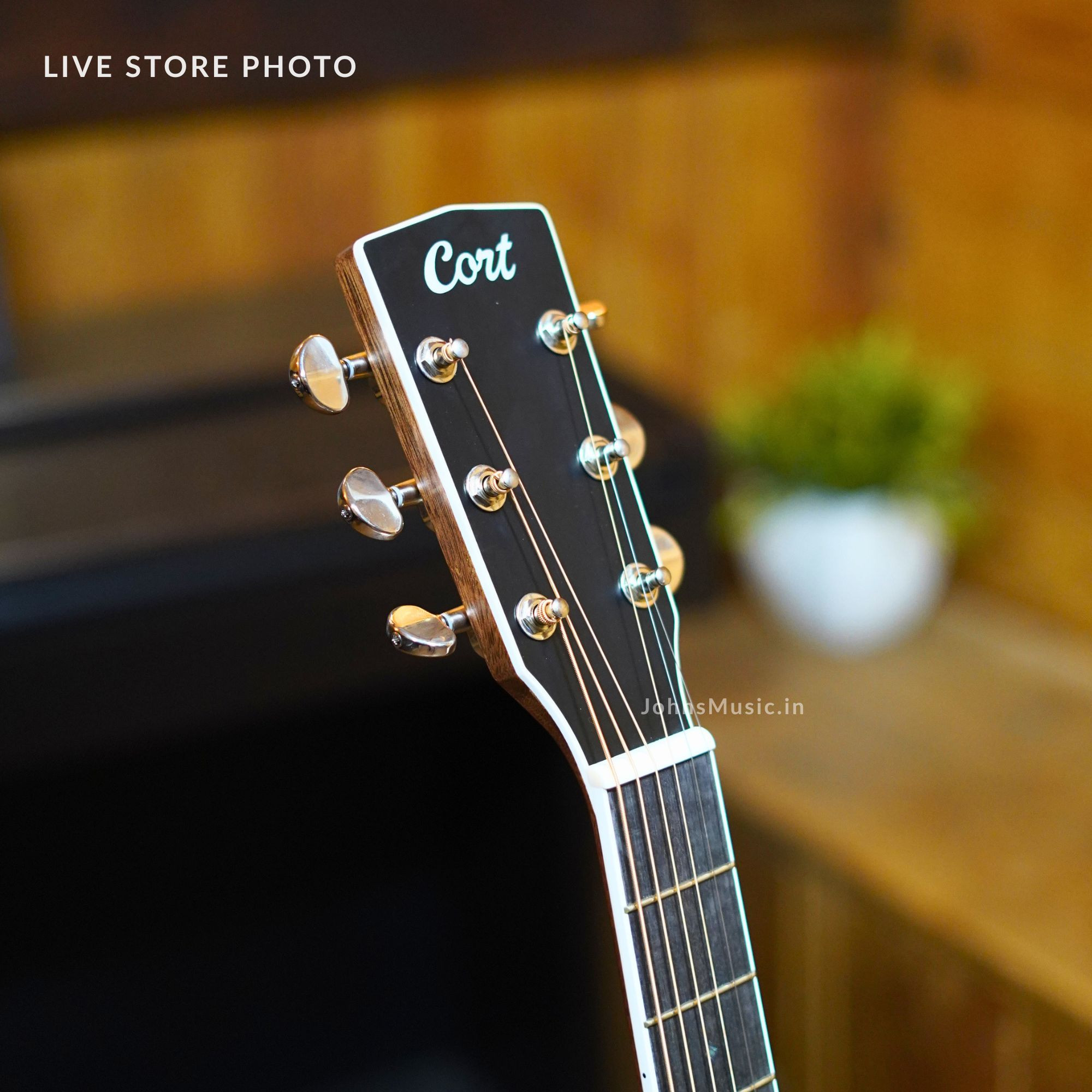 Cort GA5F acoustic guitar with Fishman pickup india
