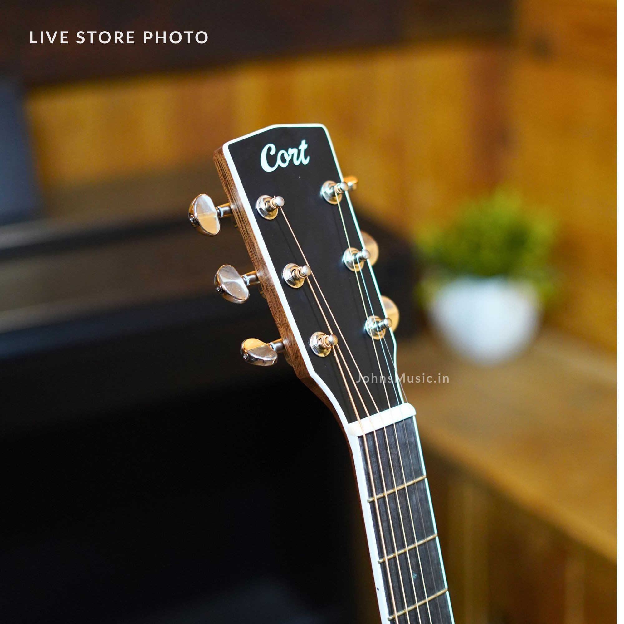 Cort GA5F FMH guitar with Fishman pickup online price in India
