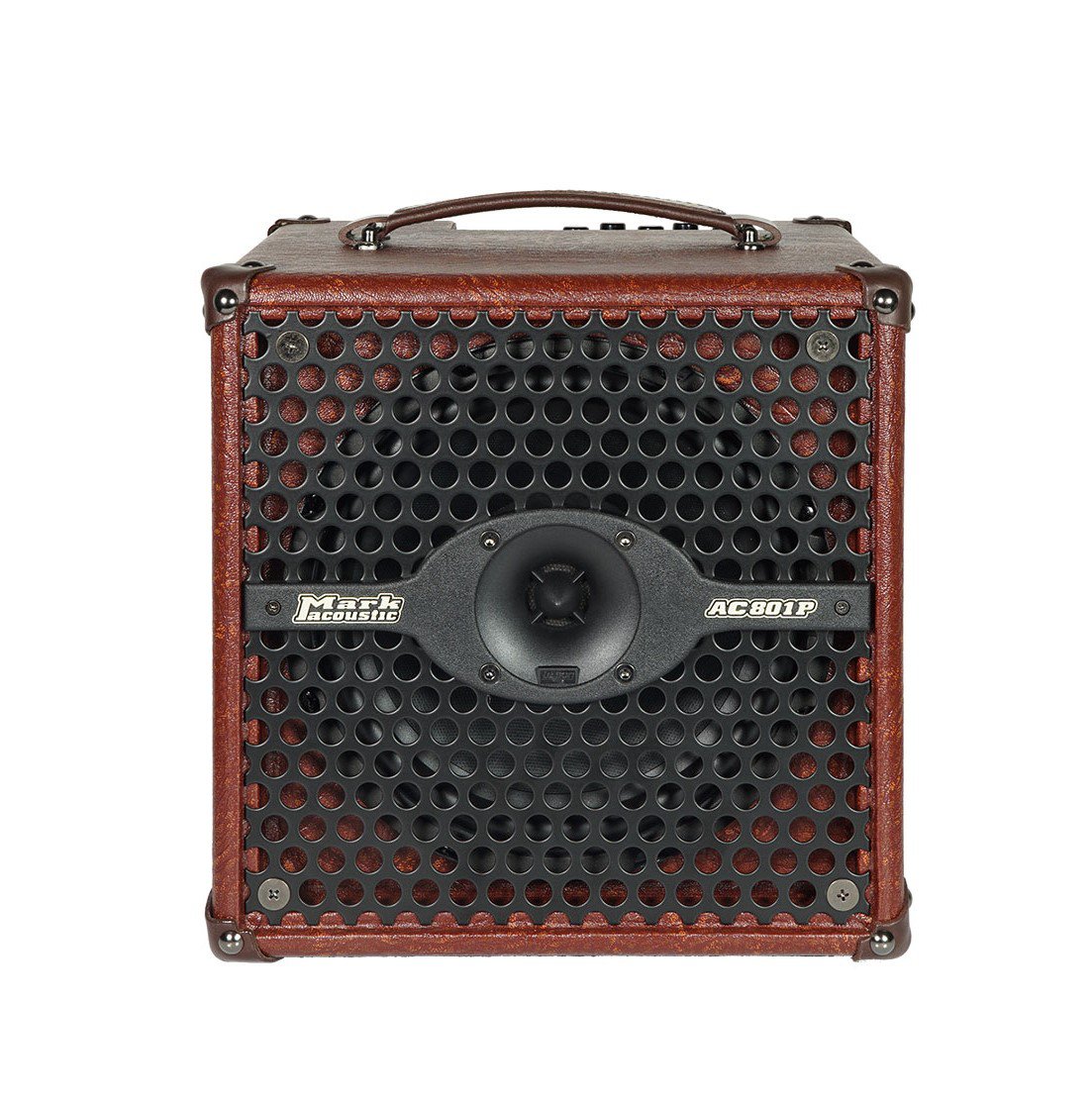 DV Mark AC 801P 50W Acoustic Combo