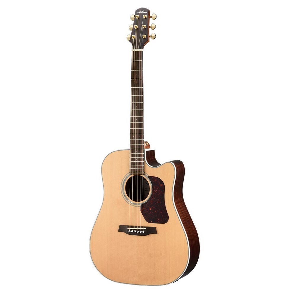 Walden D600CE Natura Dreadnought Cutaway Electro Acoustic Guitar Online price in India