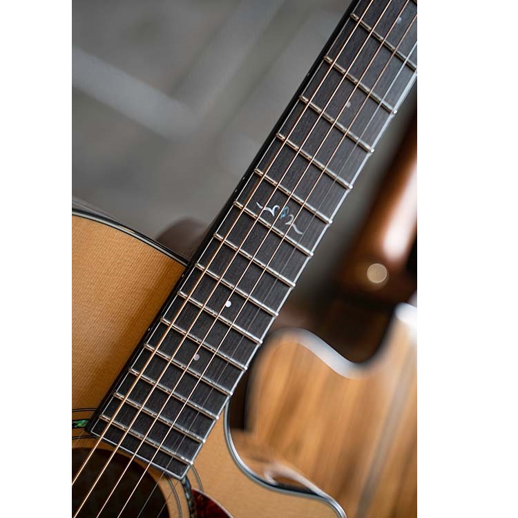 Cort Gold Series Gold OC6 Bocote Electro Acoustic Guitar Online price in India