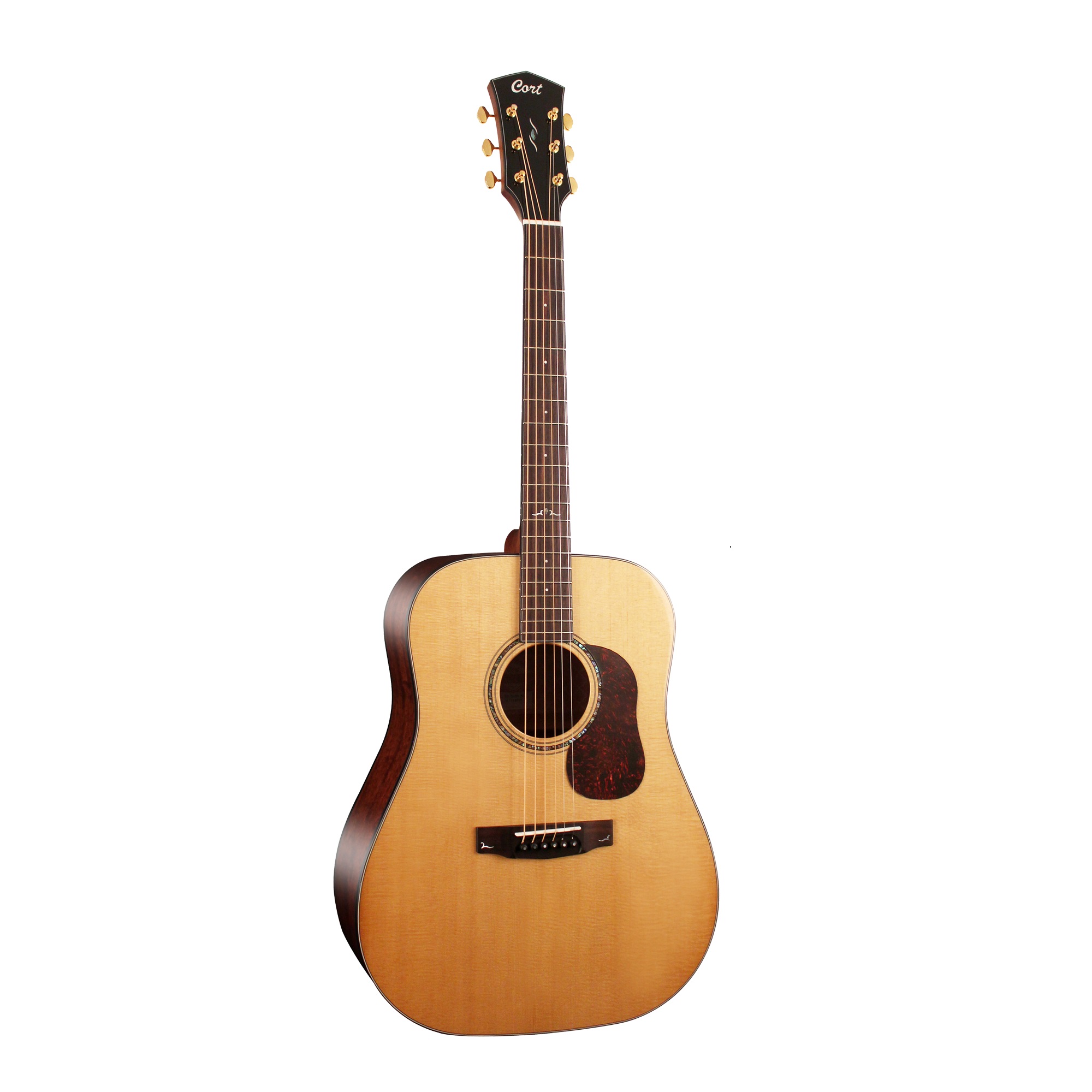 Cort Gold D6 Acoustic Guitar