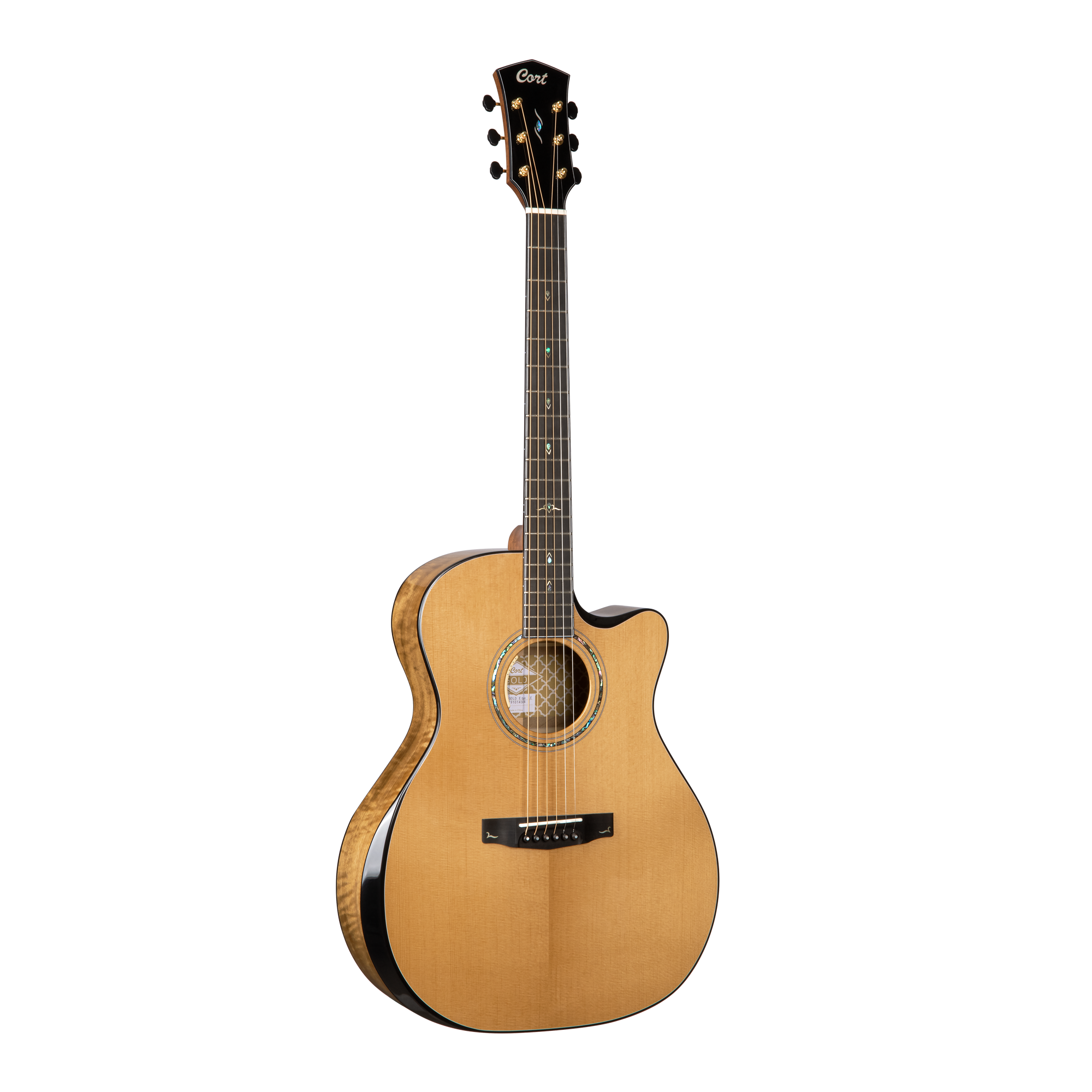 Cort Gold-Edge Electro Acoustic Guitar