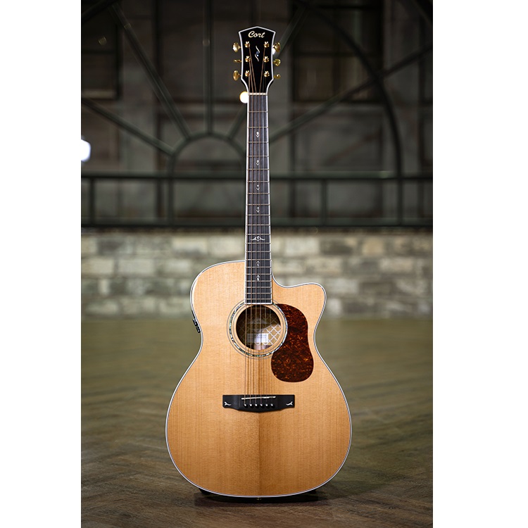 Cort Gold Series Gold OC8 Electro Acoustic Guitar With Case