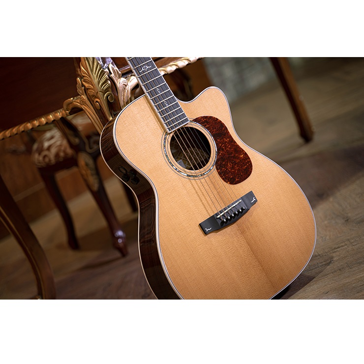 Cort Gold Series Gold OC8 Electro Acoustic Guitar With Case