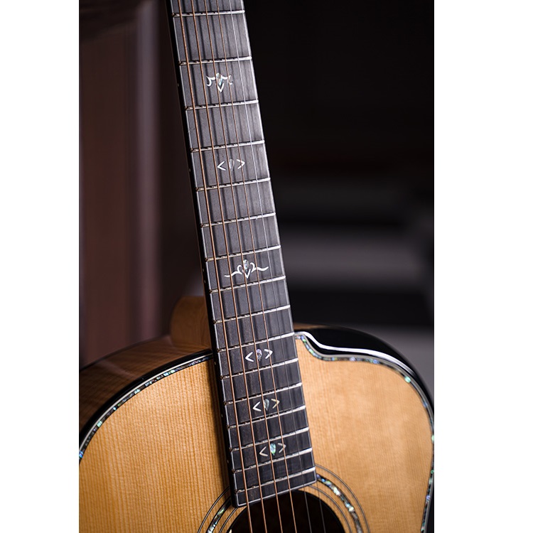 Cort Gold-Passion 6 String Electro Acoustic Guitar Online price in India