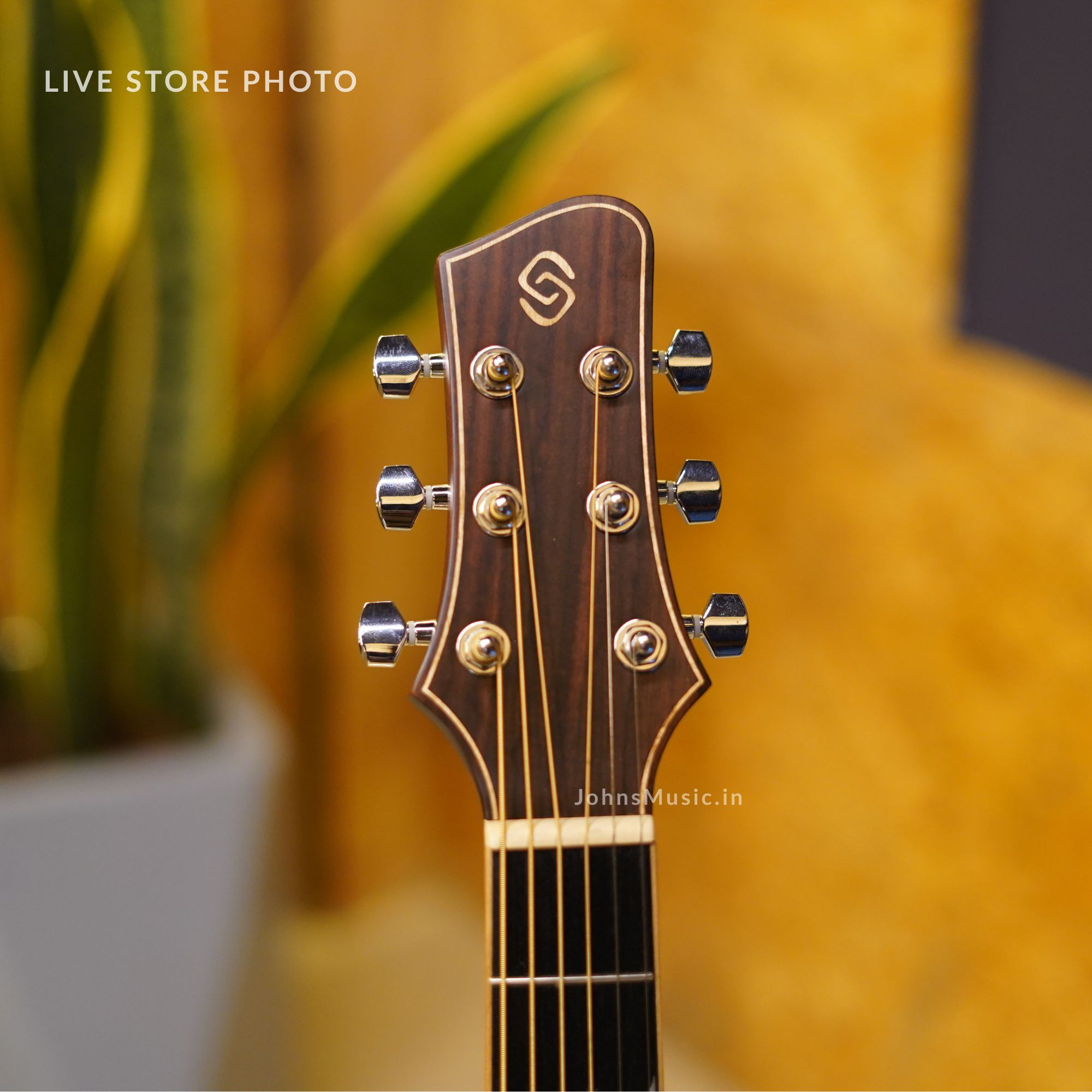 strydom gs136e travel size electro acoustic guitar online in india