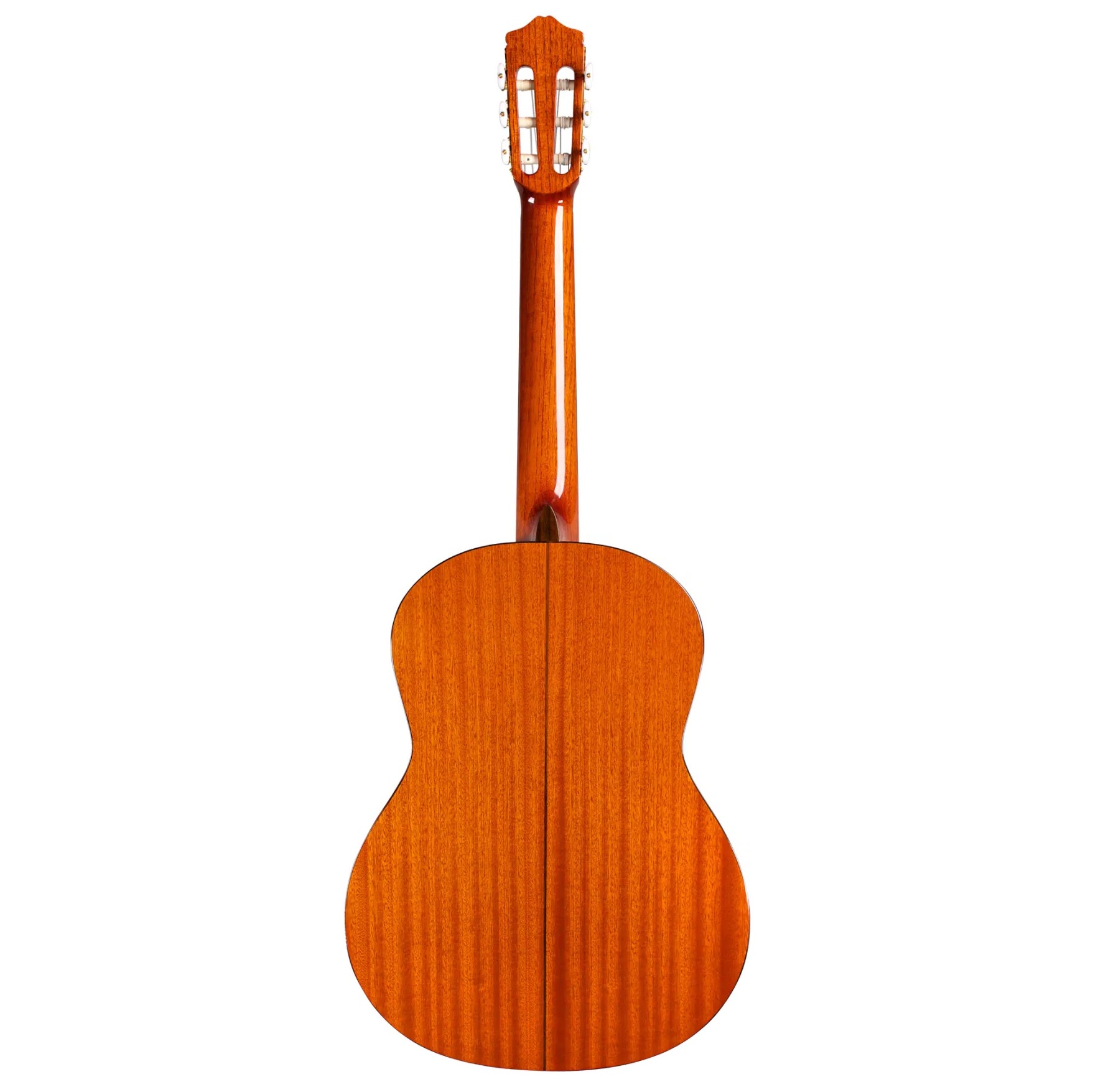 Cordoba C5 Lefty String Acoustic Guitar