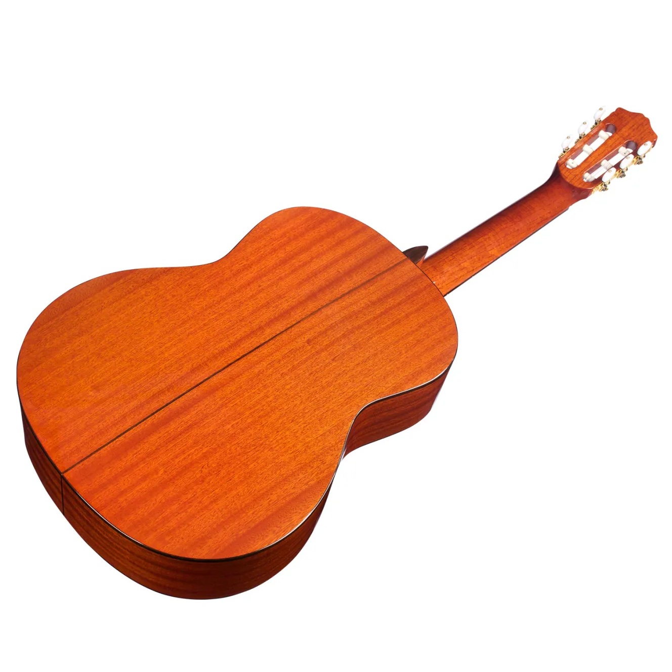 Cordoba C5 Lefty String Acoustic Guitar online in India at johnsmusicin at the lowest price Online price in India