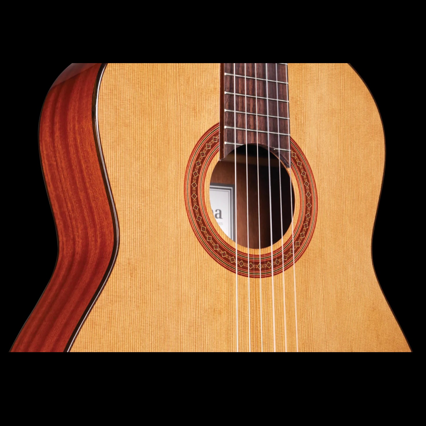 Cordoba C5 Lefty String Acoustic Guitar online in India at johnsmusicin at the lowest price Online price in India