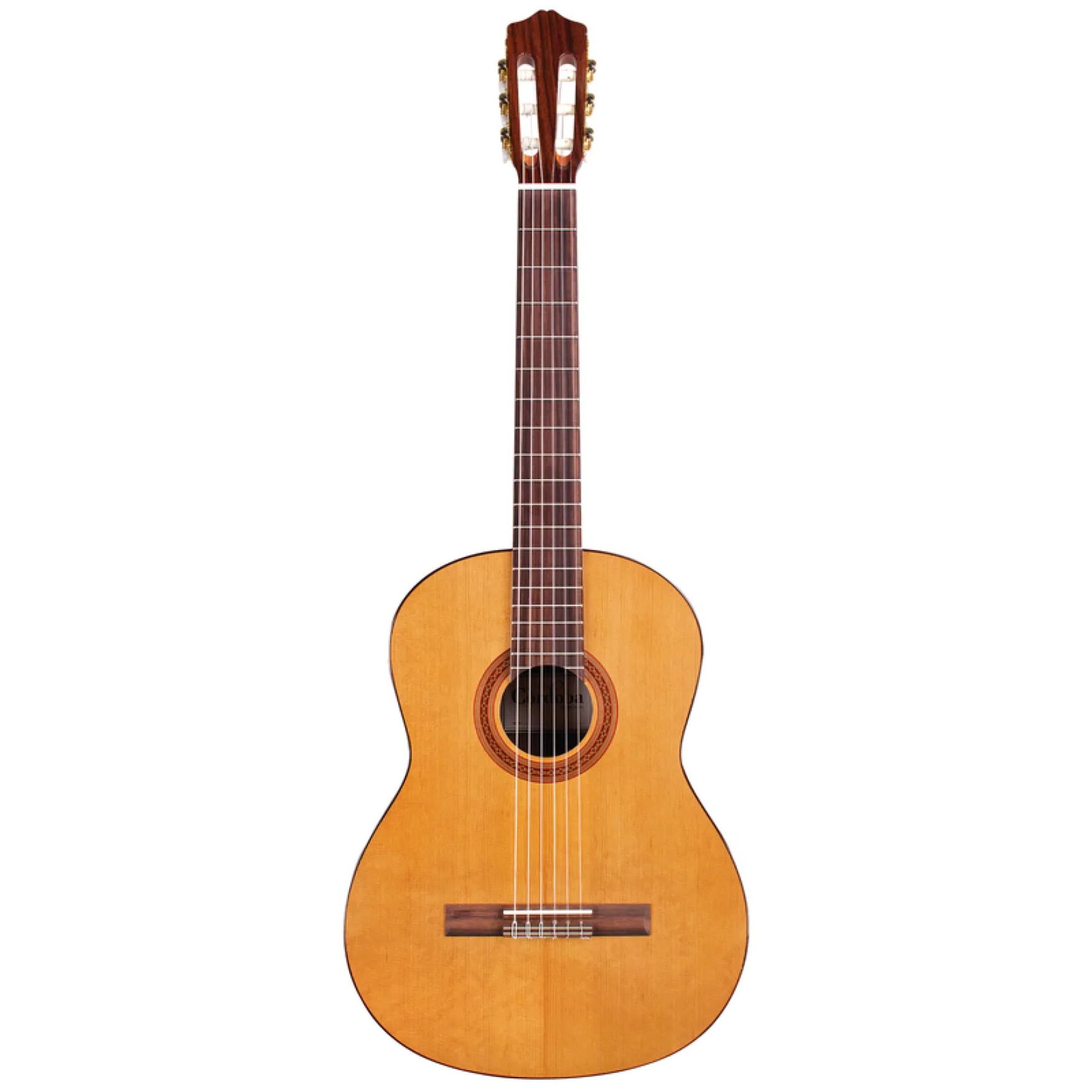 Cordoba C5 Lefty String Acoustic Guitar online in India at johnsmusicin at the lowest price Online price in India