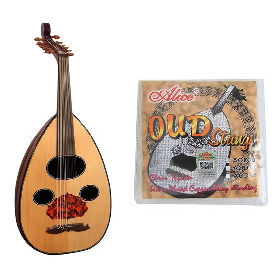 Alice AOD10 10-String Oud String Set online in India at johnsmusicin at the lowest price Online price in India