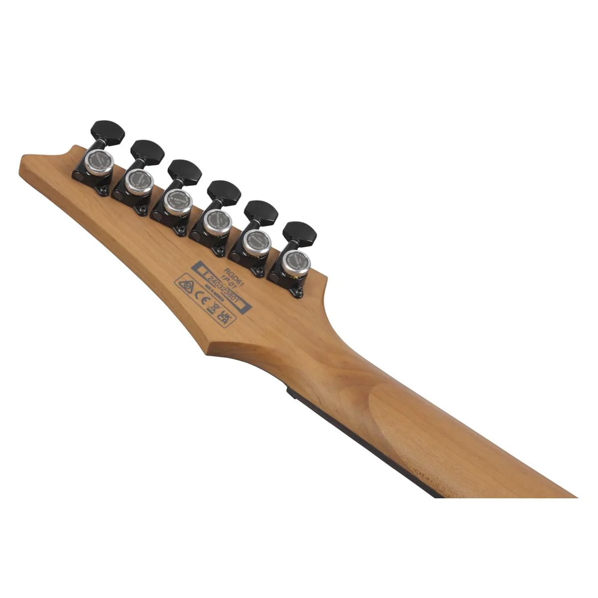 Ibanez RGD61 Electric Guitar Black Aurora Burst Matte online in India at johnsmusicin at the lowest price Online price in India