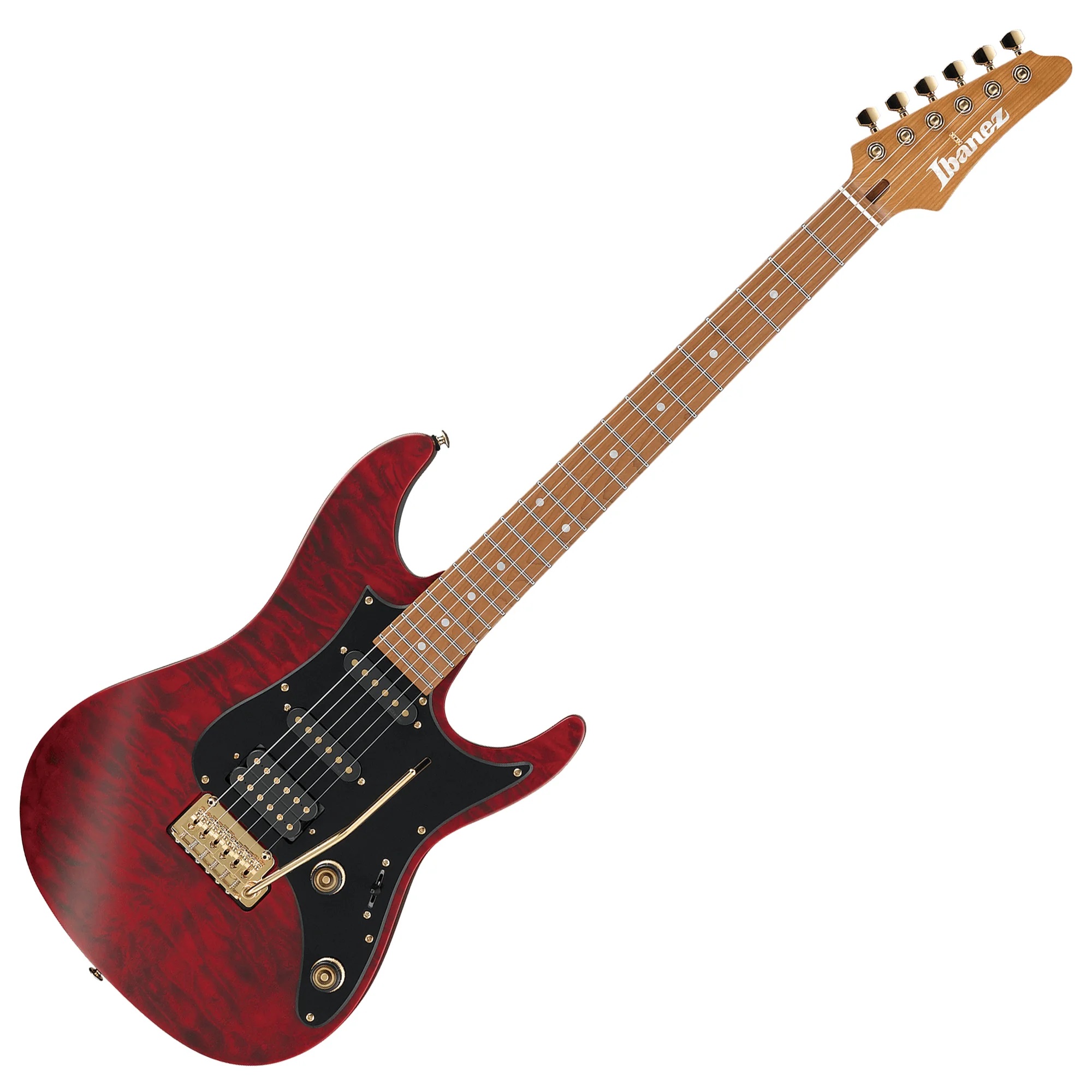 Ibanez SLM10 Electric Guitar with Gig Bag online in India at johnsmusicin at the lowest price Online price in India
