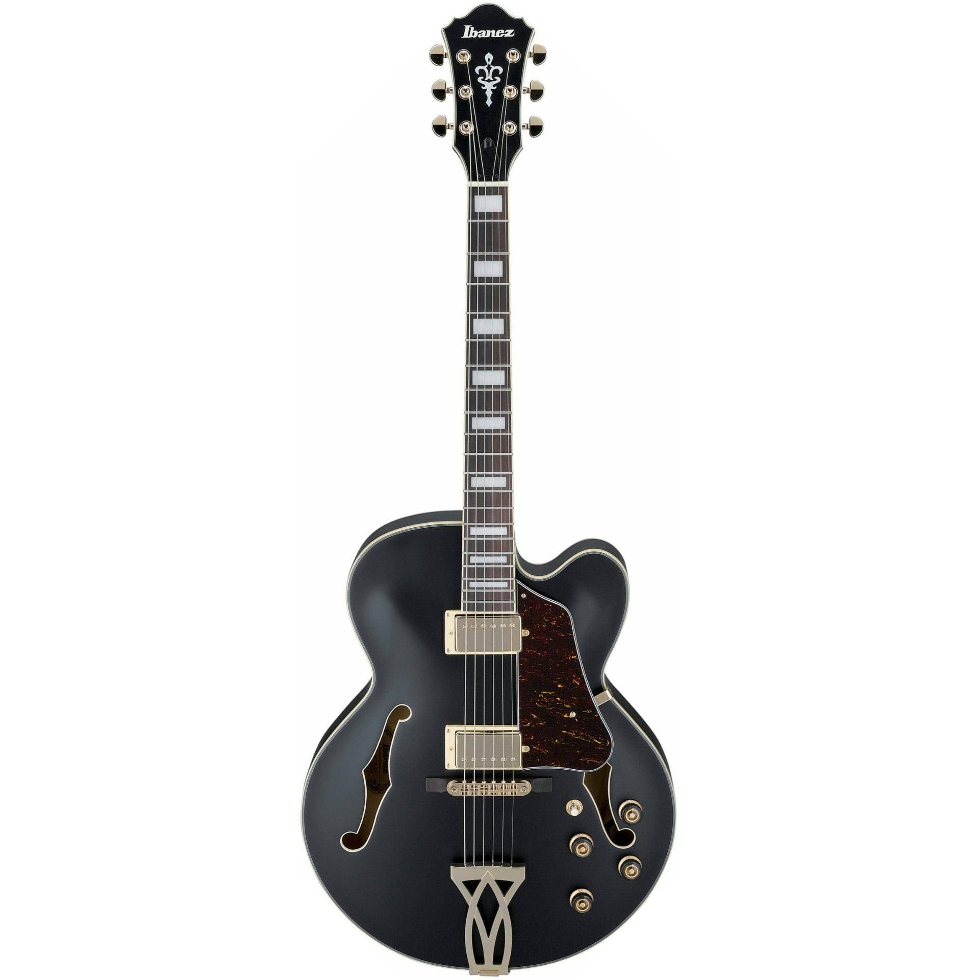 Ibanez AF75G BKF Hollowbody Electric Guitar online in India at johnsmusicin at the lowest price Online price in India