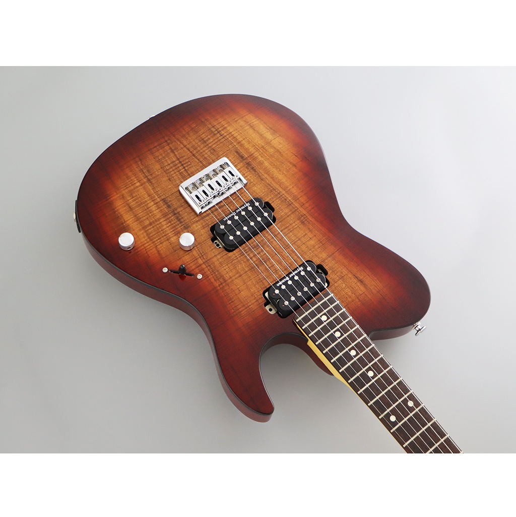 FGN JIL2-DU-EW2-R Iliad Series J Standard Boundary 6 String Electric Guitar online in India at johnsmusicin at the lowest price Online price in India