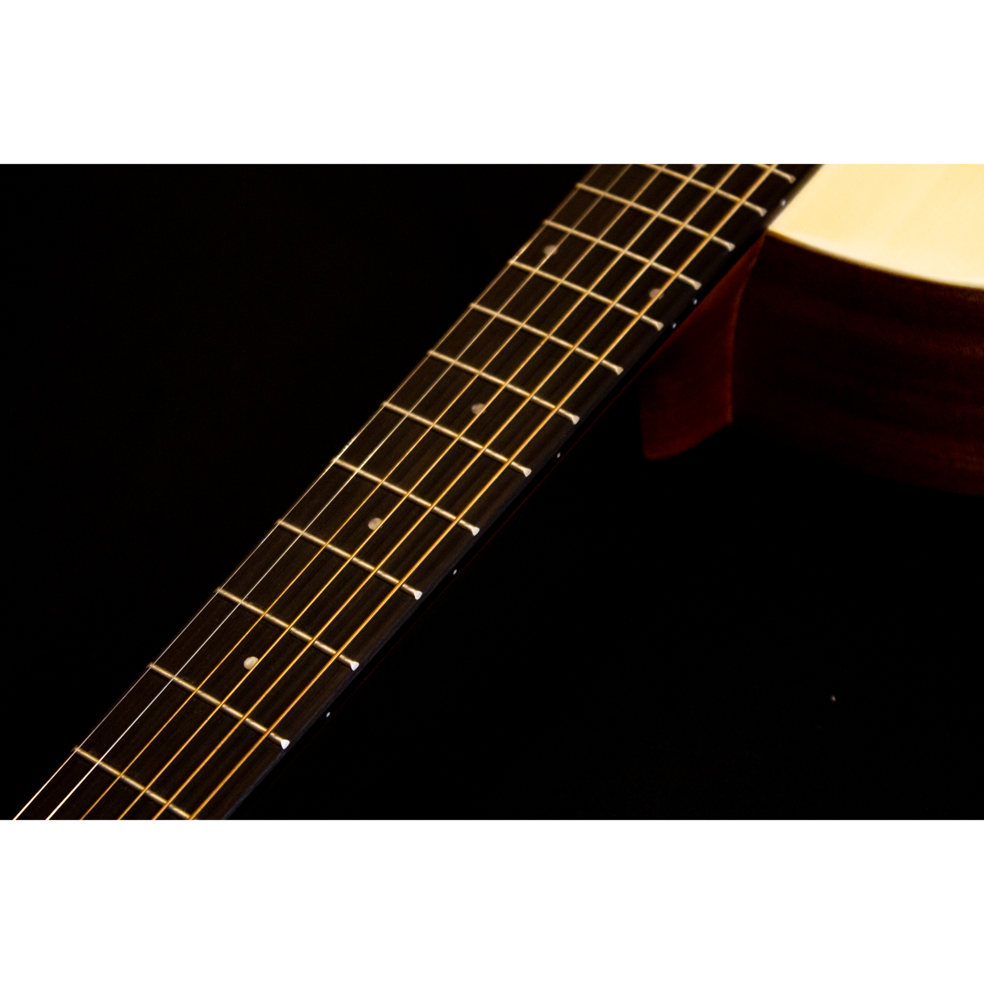 Richtone RT BG1 Travel Acoustic Guitar