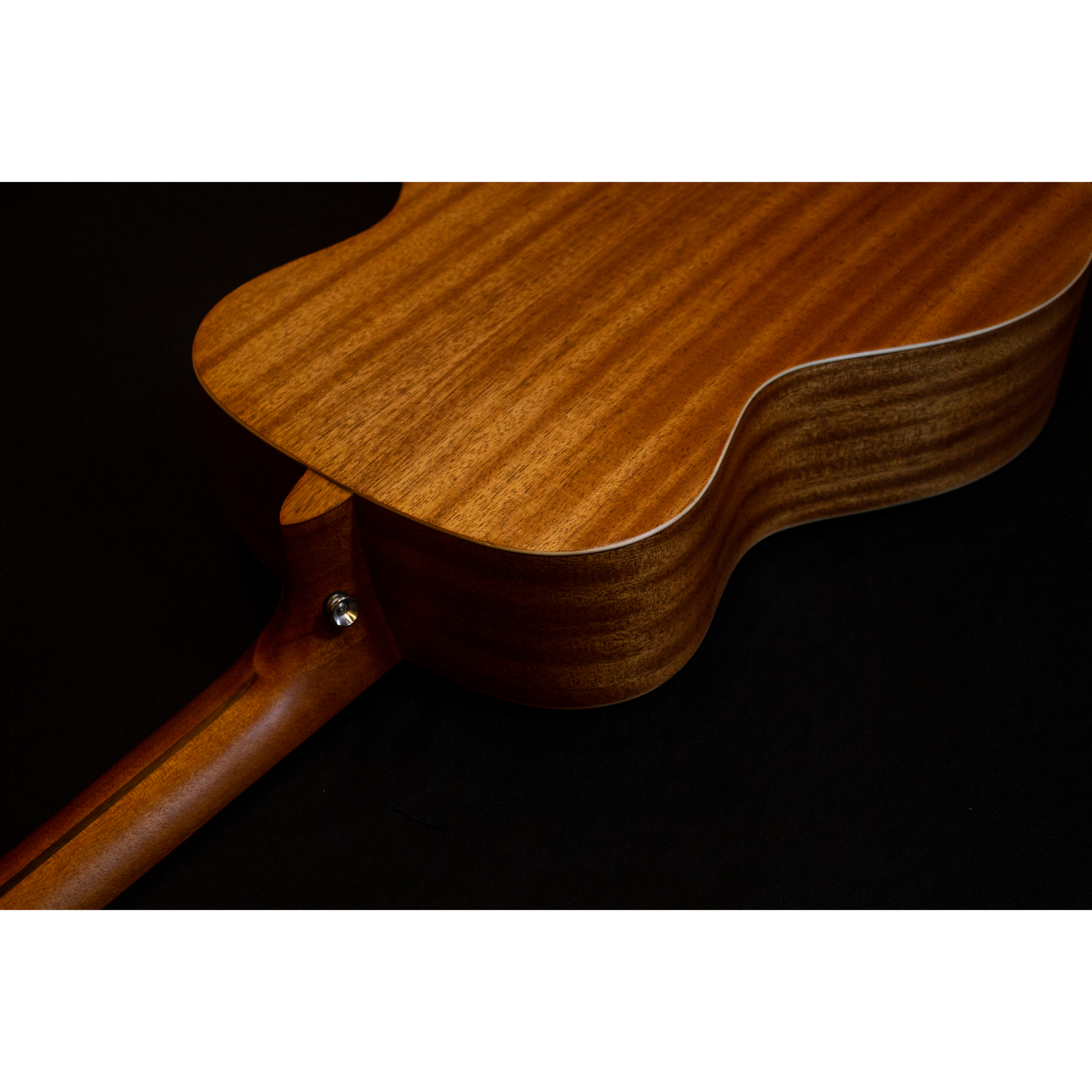 Richtone RT BG1 Travel Acoustic Guitar