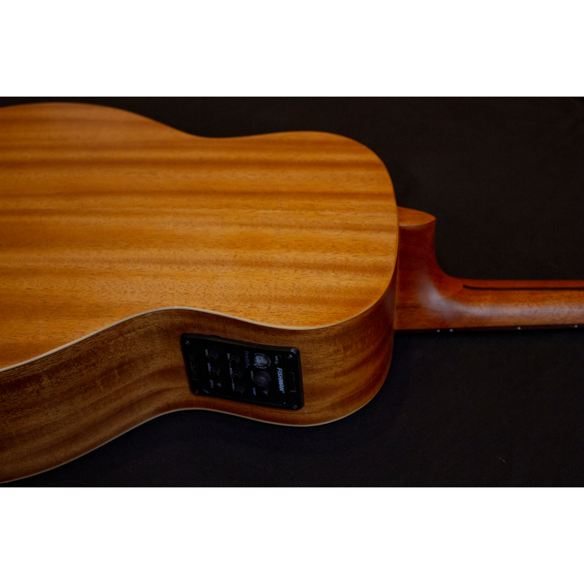 Richtone RT BG1 EQ Travel Electro Acoustic Guitar