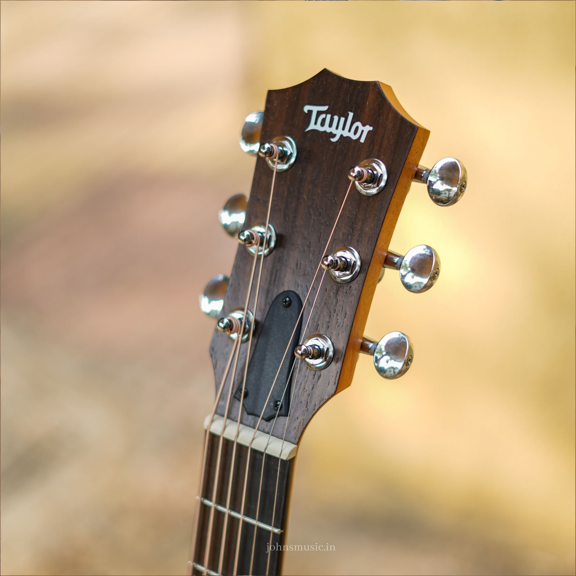 Taylor GS Mini Mahogany Acoustic Guitar