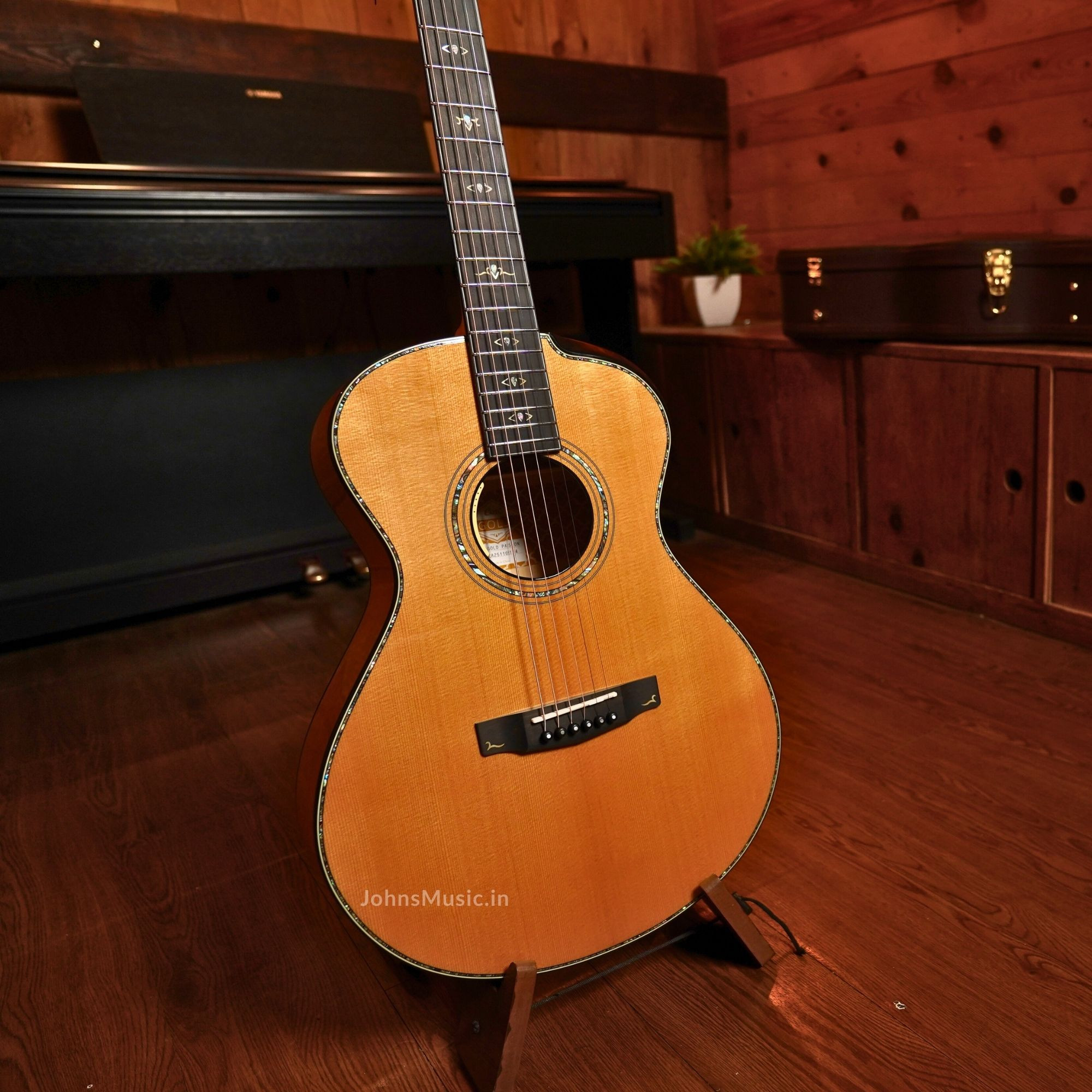 Cort Gold-Passion 6 String Electro Acoustic Guitar Online price in India