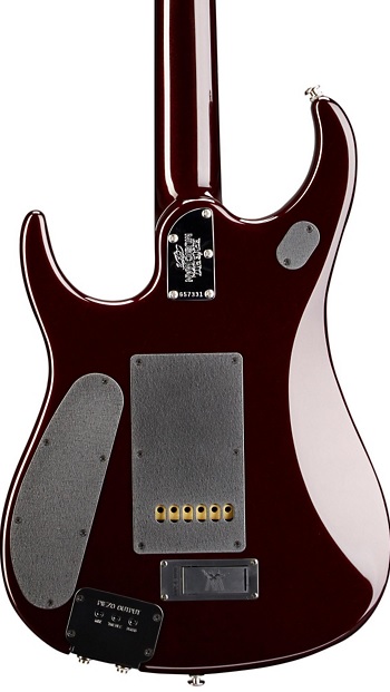 Ernie Ball Music Man John Petrucci JP12 Electric Guitar